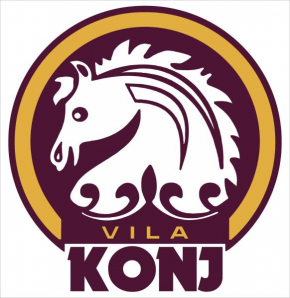 Vila Konj